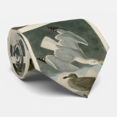 Herring Gull uit John Audubon's Birds of America Stropdas (Opgerold)
