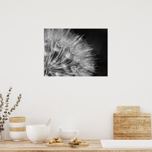 Herrliches Detail Pusteblume in schwarz weiß Poster (Keuken)