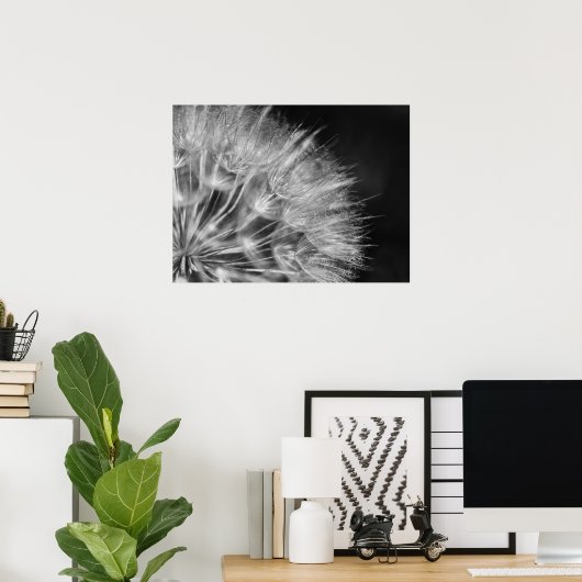 Herrliches Detail Pusteblume in schwarz weiß Poster (Thuiskantoor)