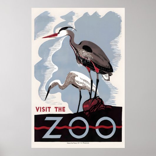 Herron Amerikaanse Roerdomp Dierentuin Vogel Recla Poster (Voorkant)