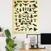Herscheppingen Adolphe Millot Natuur Creatures Ins Poster (Thuiskantoor)