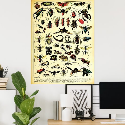 Herscheppingen Adolphe Millot Natuur Creatures Ins Poster (Thuiskantoor)