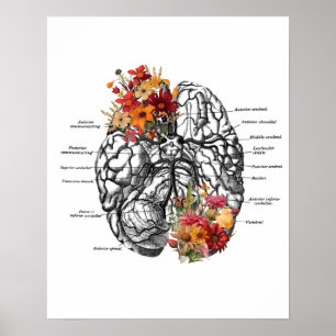 Hersenanatomie Bloemen Anatomische kunst Poster