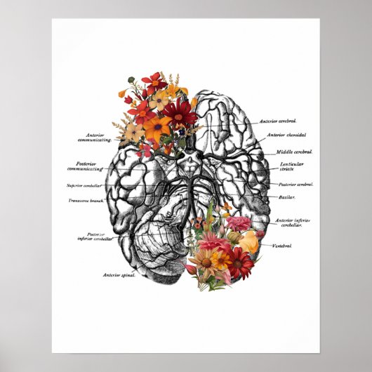 Hersenanatomie Bloemen Anatomische kunst Poster (Voorkant)
