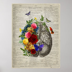 Hersenanatomie Bloemen Kolibrievlinders Poster