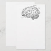  hersenanatomie briefpapier (Voorkant / Achterkant)