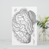  hersenanatomie briefpapier (Staand voorkant)