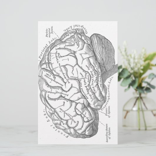  hersenanatomie briefpapier (Staand voorkant)