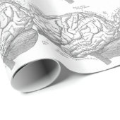  hersenanatomie cadeaupapier (Rol Hoek)