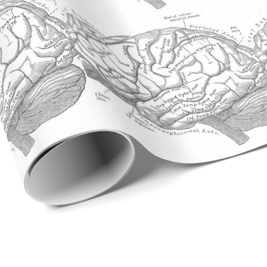  hersenanatomie cadeaupapier (Rol Hoek)