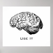 Hersenanatomie - Gebruik het Poster (Voorkant)