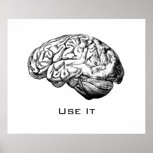 Hersenanatomie - Gebruik het Poster