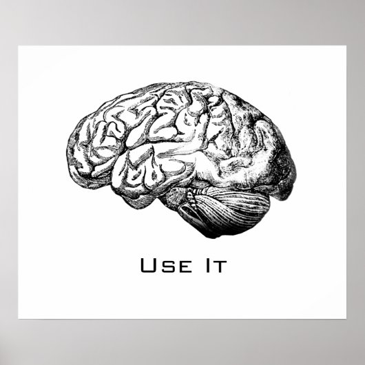 Hersenanatomie - Gebruik het Poster (Voorkant)