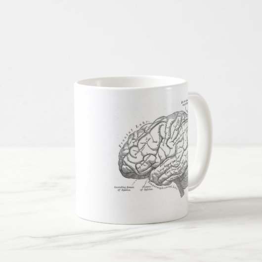  hersenanatomie koffiemok (Voorkant rechts)