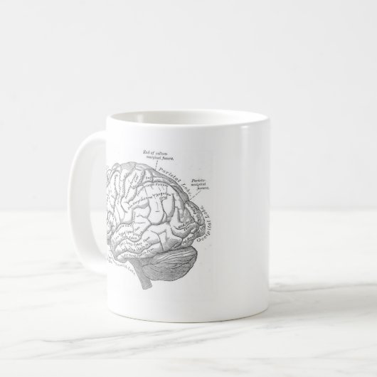  hersenanatomie koffiemok (Voorkant links)