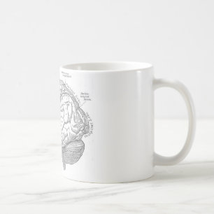  hersenanatomie koffiemok