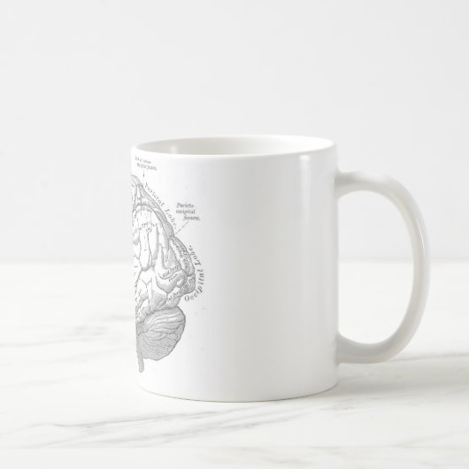 hersenanatomie koffiemok (Rechts)