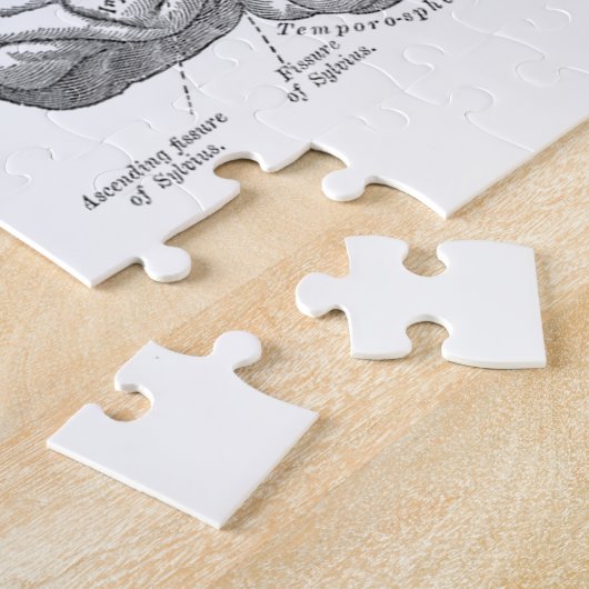  hersenanatomie legpuzzel (Zijkant)