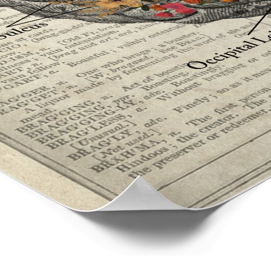 Hersenanatomie met vlinders en bloemen poster (Hoek)