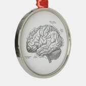  hersenanatomie metalen ornament (Rechts)