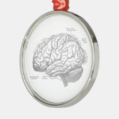  hersenanatomie metalen ornament (Links)