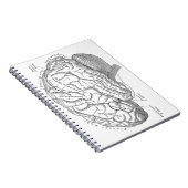  hersenanatomie notitieboek (Rechterzijde)