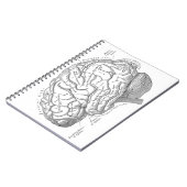  hersenanatomie notitieboek (Linkerzijde)