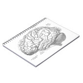  hersenanatomie notitieboek (Linkerzijde)