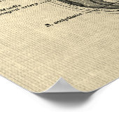 Hersenanatomie nr. 5 met Cream Achtergrond Poster (Hoek)