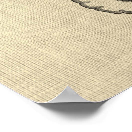 Hersenanatomie nr. 8 met Cream Achtergrond Poster (Hoek)