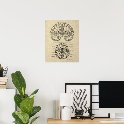 Hersenanatomie nr. 9 met Cream Achtergrond Poster (Thuiskantoor)