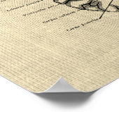 Hersenanatomie nr. 9 met Cream Achtergrond Poster (Hoek)