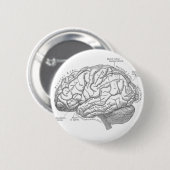  hersenanatomie ronde button 5,7 cm (Voorkant /achterkant)