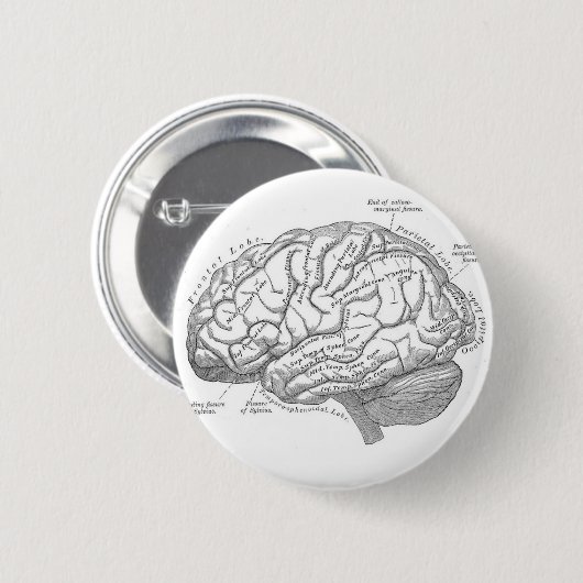  hersenanatomie ronde button 5,7 cm (Voorkant /achterkant)