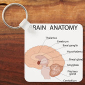 Hersenanatomie Sleutelhanger (Voorkant)