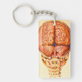 Hersenbasis en hersenvliezen lithografie sleutelhanger