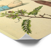 Hersenchirurgie Hoofd Anatomie Kunstdokter Afdrukk Poster (Hoek)