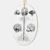 Hersenen en wervelkolom keramisch ornament (Links)