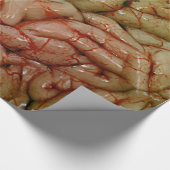 Hersenen, HersenenZZ BRAINZZ Cadeaupapier (Hoek)