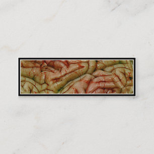 Hersenen, HersenenZZ BRAINZZ Mini Visitekaartje