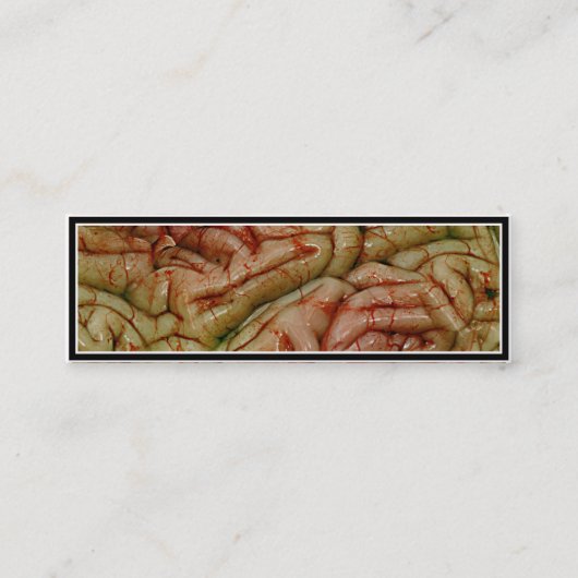 Hersenen, HersenenZZ BRAINZZ Mini Visitekaartje (Voorkant)