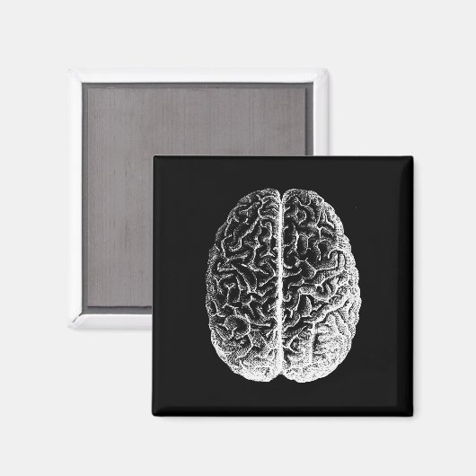 Hersenen! Magneet (Voorkant / Achterkant)