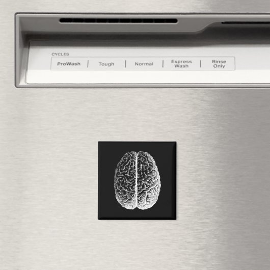 Hersenen! Magneet (Insitu (Vaatwasser))