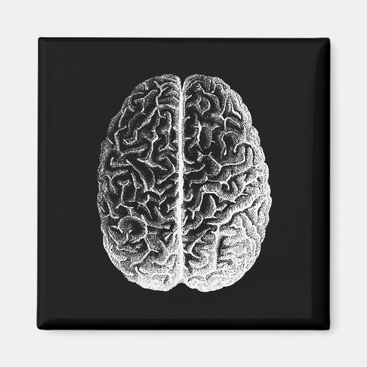 Hersenen! Magneet (Voorkant)