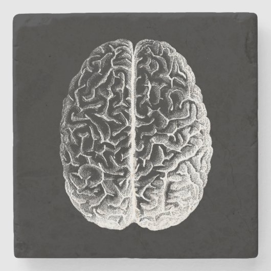Hersenen! Stenen Onderzetter (Voorkant)