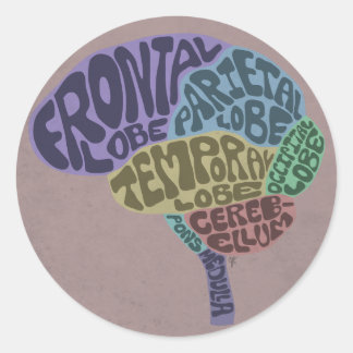 Hersenen Sticker