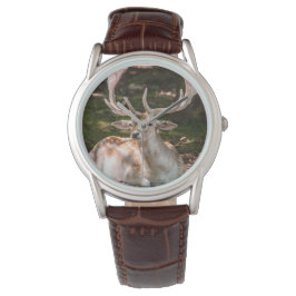 Hersenfoto onder het bos horloge
