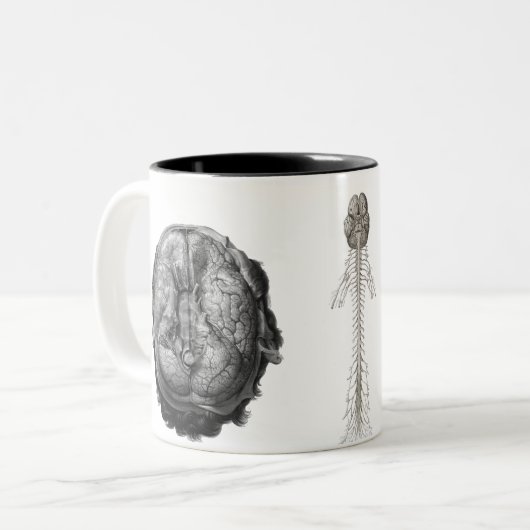 hersenonthulling tweekleurige koffiemok (Voorkant links)