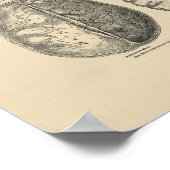 hersenschedel Anatomie 1880 Afdruk Poster (Hoek)