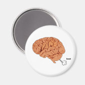 Hersenscheet Magneet (Voorkant / Achterkant)